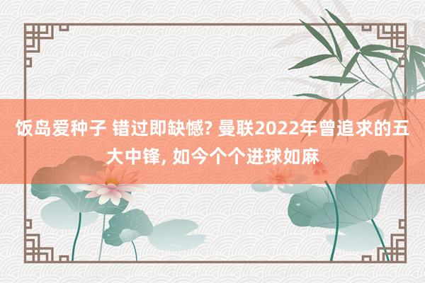 饭岛爱种子 错过即缺憾? 曼联2022年曾追求的五大中锋, 如今个个进球如麻
