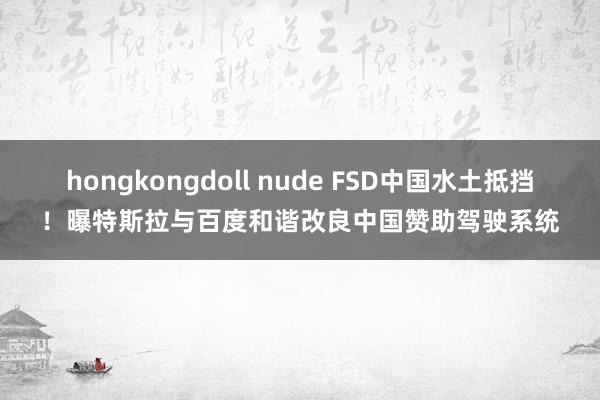 hongkongdoll nude FSD中国水土抵挡！曝特斯拉与百度和谐改良中国赞助驾驶系统