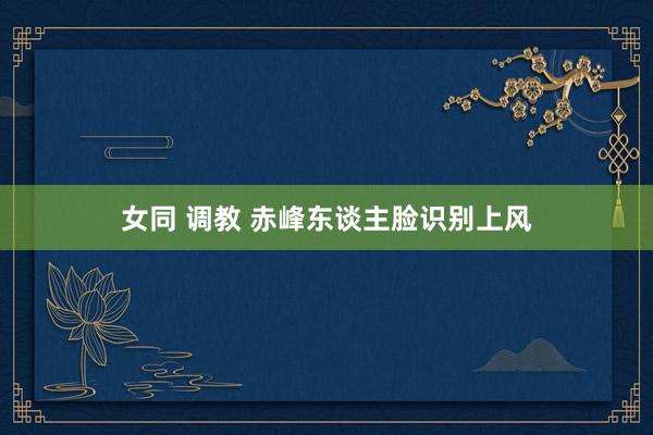 女同 调教 赤峰东谈主脸识别上风