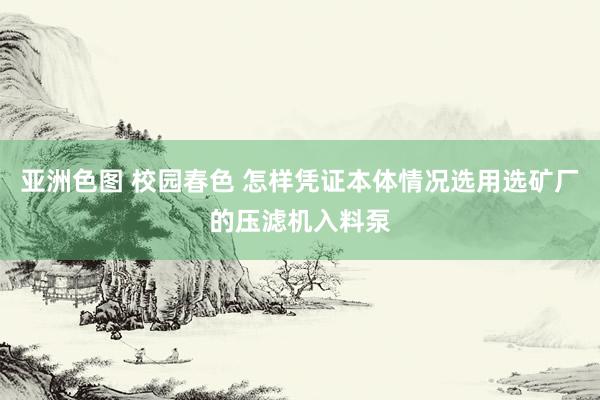 亚洲色图 校园春色 怎样凭证本体情况选用选矿厂的压滤机入料泵
