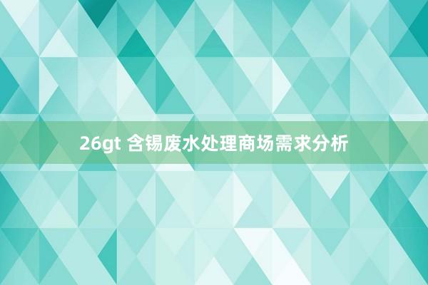 26gt 含锡废水处理商场需求分析