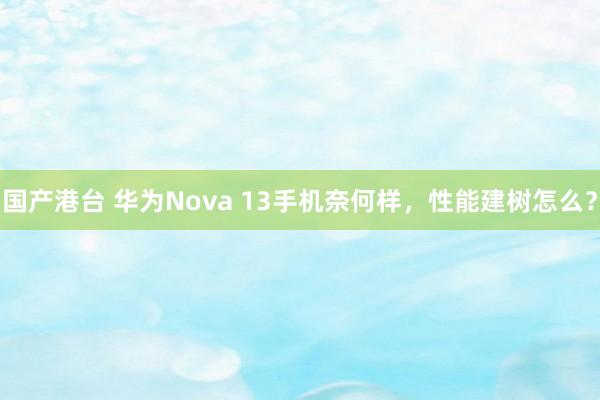 国产港台 华为Nova 13手机奈何样，性能建树怎么？