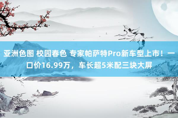 亚洲色图 校园春色 专家帕萨特Pro新车型上市！一口价16.99万，车长超5米配三块大屏