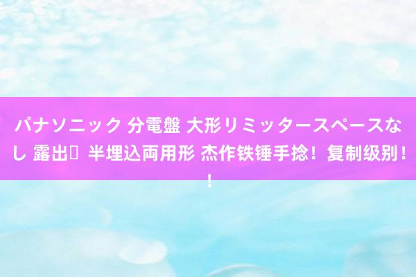 パナソニック 分電盤 大形リミッタースペースなし 露出・半埋込両用形 杰作铁锤手捻！复制级别！