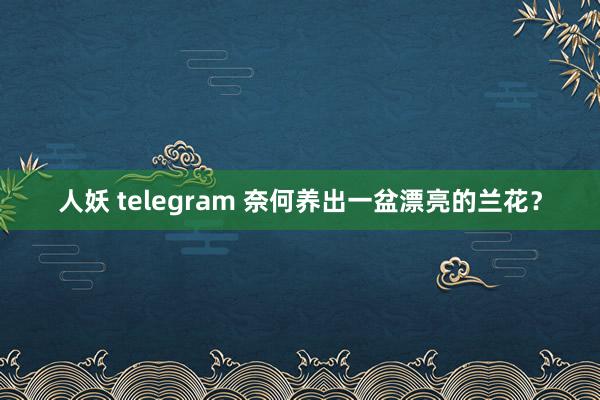 人妖 telegram 奈何养出一盆漂亮的兰花？