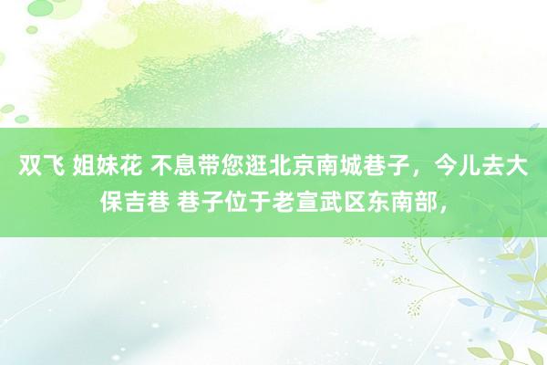 双飞 姐妹花 不息带您逛北京南城巷子，今儿去大保吉巷 巷子位于老宣武区东南部，