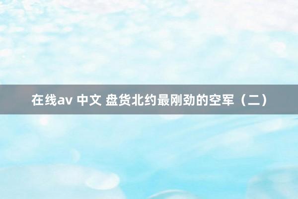 在线av 中文 盘货北约最刚劲的空军（二）